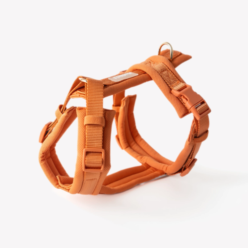 Furlou - Hondentuig Terracotta