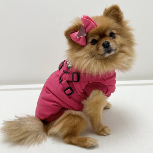 Haarstrikken & Petten