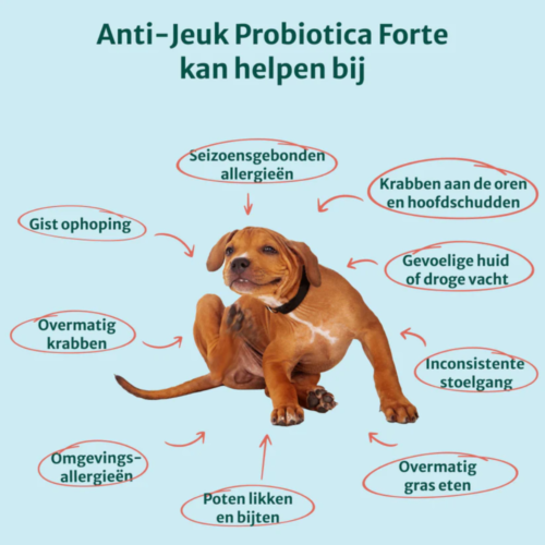 Dogsupply - Anti-Jeuk Insect - Afbeelding 3