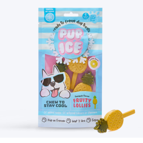 Pup Ice - Hondenijsje Fruit Lollie Ananas 3st
