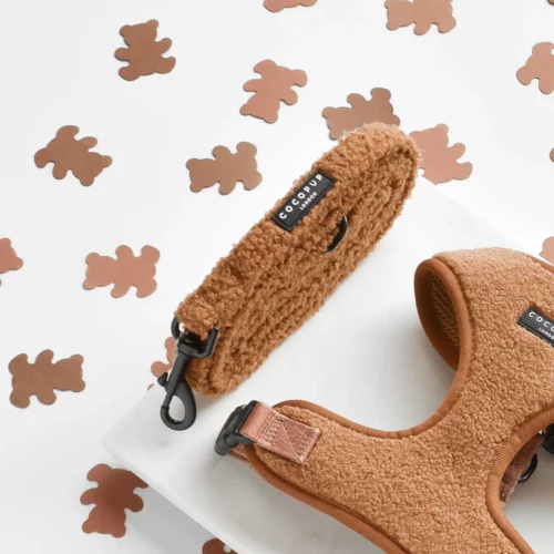 Cocopup - Daydream Teddy Paddington