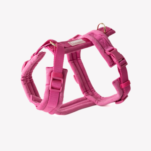 Furlou - Hondentuig Velvet Magenta