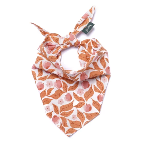 The Paws - Apple Crisp Honden Bandana