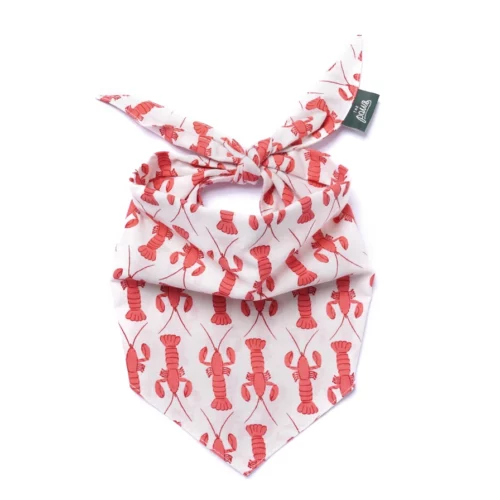 The Paws - Lobstah Honden Bandana