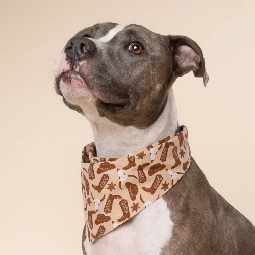The Paws - Bronco Honden Bandana - Afbeelding 2