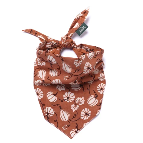 The Paws - Harvest Fall Honden Bandana