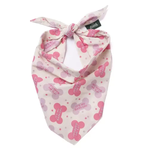 The Paws - Barkday Honden Bandana Roze