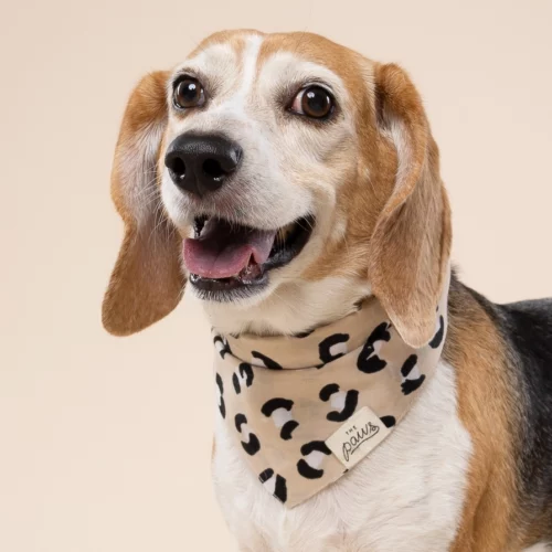The Paws - Urban Honden Bandana - Afbeelding 2