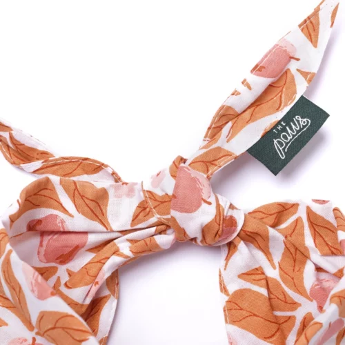 The Paws - Apple Crisp Honden Bandana - Afbeelding 3