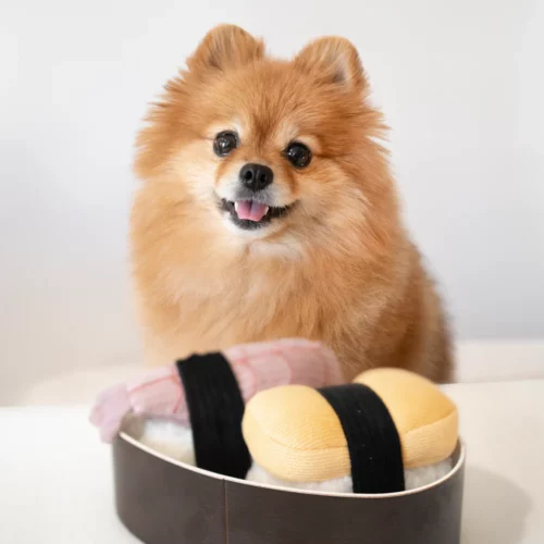Lambwolf - Hondenspeelgoed Sushi Set - Afbeelding 3