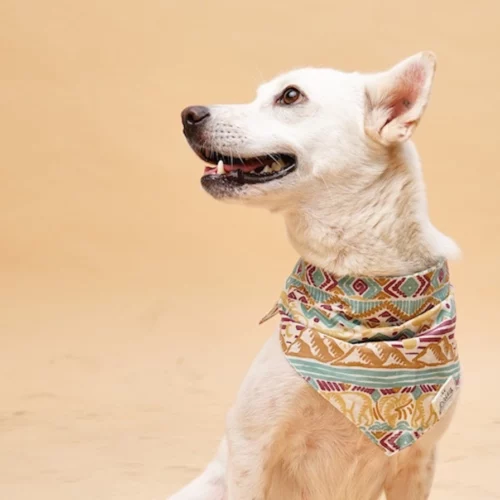 The Paws - Wildernis Honden Bandana - Afbeelding 2