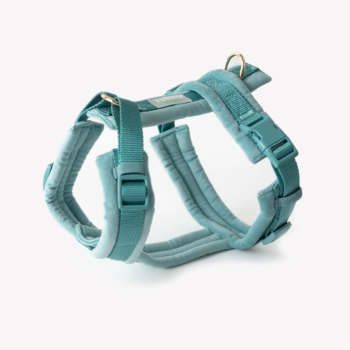 Furlou - Hondentuig Blauw Velvet