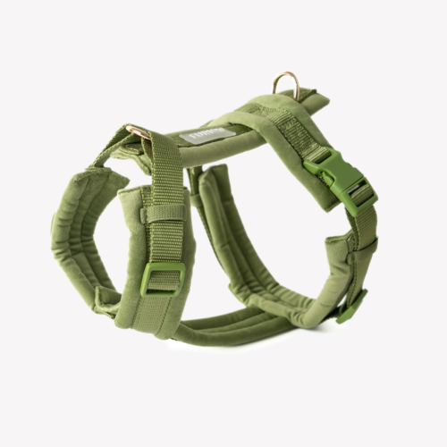 Furlou - Hondentuig Groen Velvet