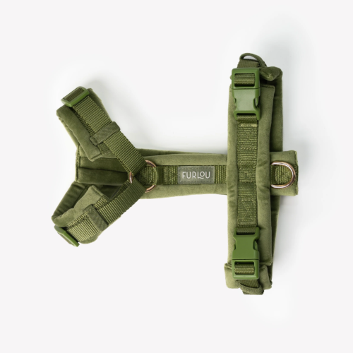 Furlou - Hondentuig Groen Velvet - Afbeelding 2