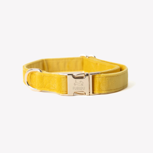 Furlou - Hondenhalsband Velvet Geel