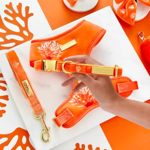 Cocopup - Hondenhalsband Luxe Velvet Coral Core - Afbeelding 2