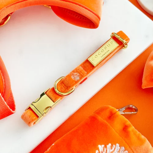 Cocopup - Hondenhalsband Luxe Velvet Coral Core