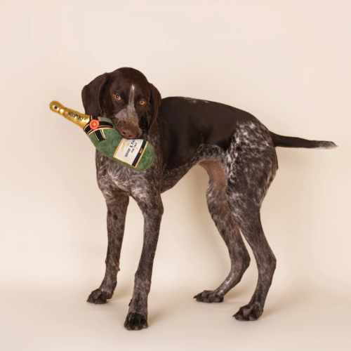 Woof & Pawty Champagne - Afbeelding 2
