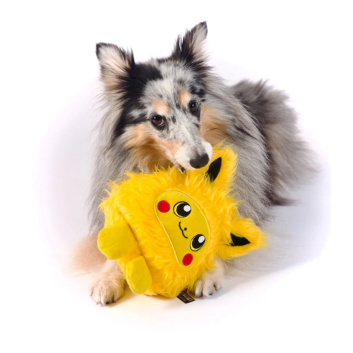 PawStory - Hondenspeelgoed Pupachu