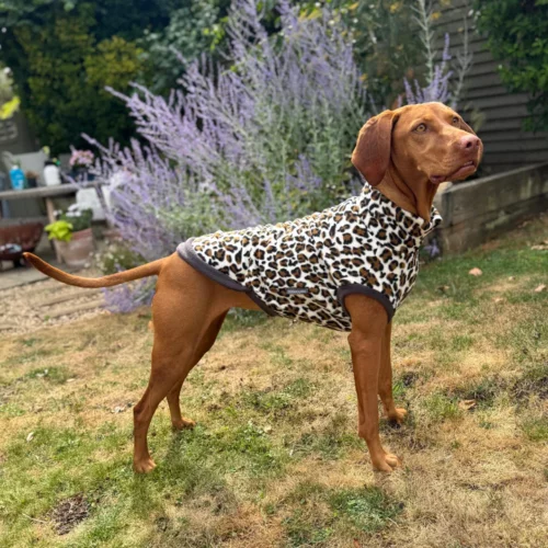 Doghouse - Hondenjas Fleece Luipaard - Afbeelding 2