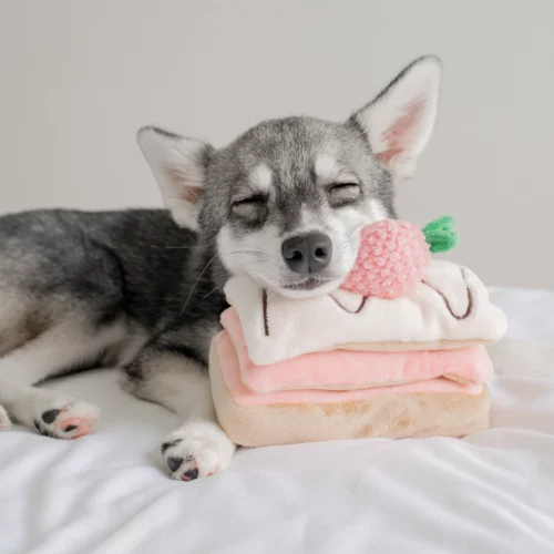 Pups & Bubs - Snuffel Aardbeien Mille-Feuille