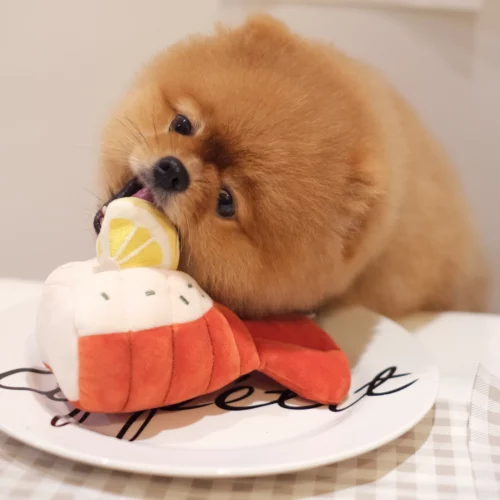 Pups & Bubs - Snuffel Kreeft