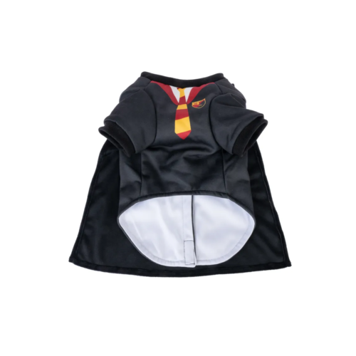 Harry Potter Costume