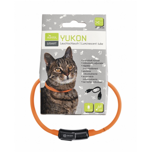 Hunter- Lichthalsband Kat/Kleine Honden