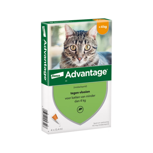 Advantage kat - Tot 4 kg - 4 pipetten