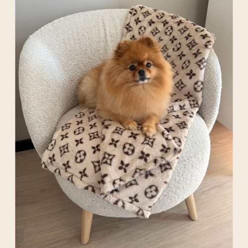 Hondenkleed Beige Print