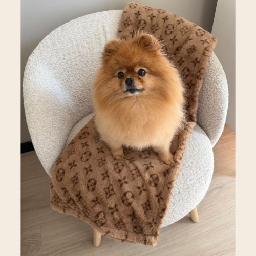 Hondenkleed Bruin Print